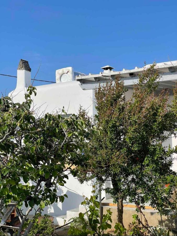 Alesta Apartment Mykonos Town Exterior photo